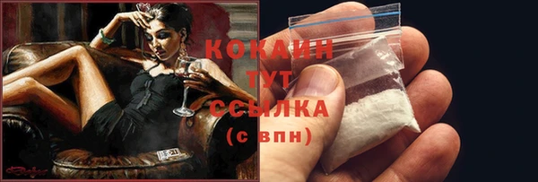 твердый Пересвет