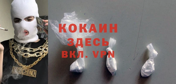 гидра Алексин