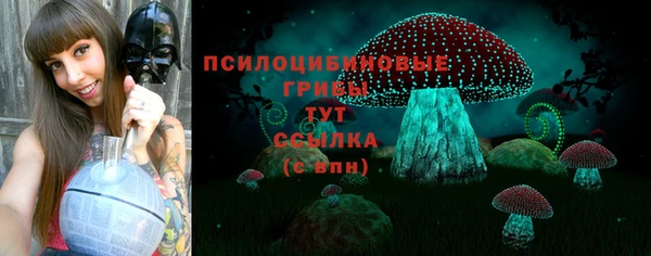 гидра Алексин