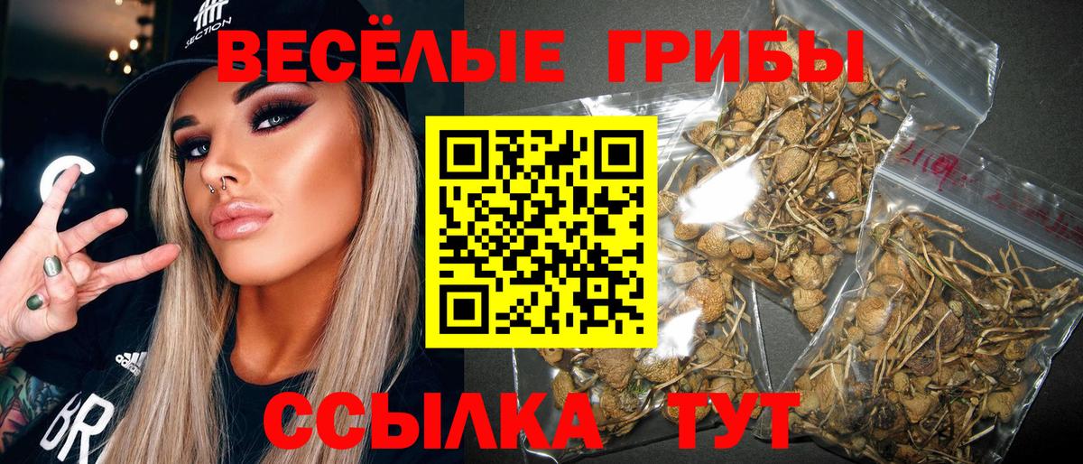 Гусь-Хрустальный  Псилоцибиновые грибы MAGIC MUSHROOMS  Галлюциногенные грибы Psilocybe  наркота  Вход с VPN 